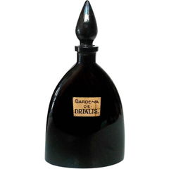 Gardenia de Drialis by Drialys