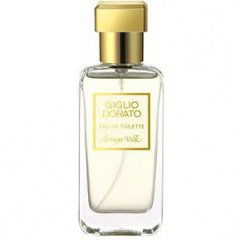 Giglio Dorato von Bottega Verde