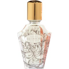 Velvet Blossom by Florascent