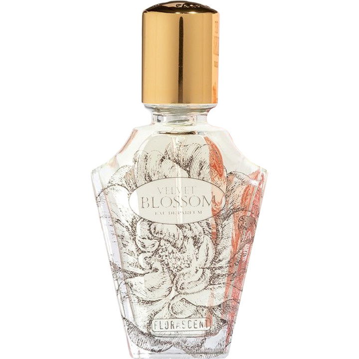 Velvet Blossom von Florascent