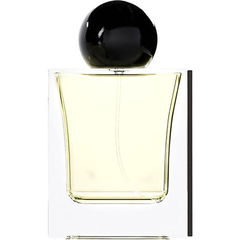 Tactus Angeli von G Parfums