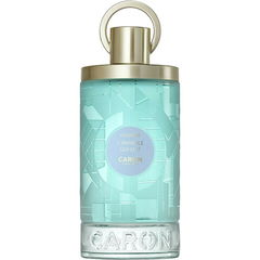 L'Invisible Qui Luit von Caron