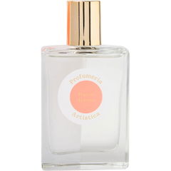 Rosso di Sera by Profumeria Artistica