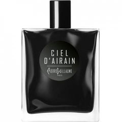 Ciel d'Airain by Pierre Guillaume