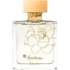 Gardenia / N°41 von M. Micallef