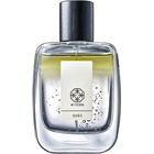 Sugi / スギ by Kitowa