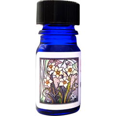 Silver Narcissus by Possets