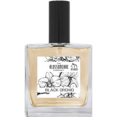 Black Orchid by The Blossomcare Company