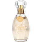 Caressing Cardamom von Judith Williams