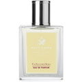 Calycanthus by Acca Kappa