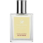 Calycanthus von Acca Kappa