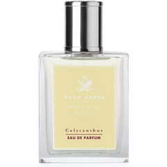 Calycanthus by Acca Kappa