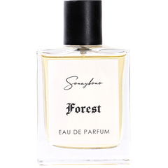 Forest by Sonnybono
