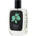 Tropical Latte von Malva 1979