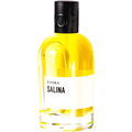 Salina von Evora