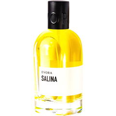 Salina von Evora