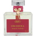 Orchidea von Erbaflor