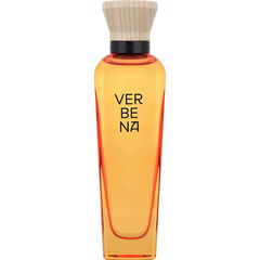 Verbena Mujer by Adolfo Dominguez