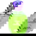 Style & Emotion by Real Time