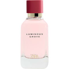 Luminous Grove by Zara