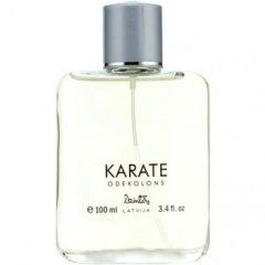 Karate by Dzintars