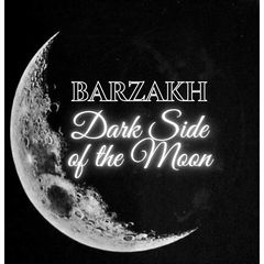 Dark Side of the Moon von Barzakh