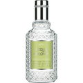 Green Tea & Bergamot