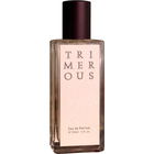 Trimerous by Jorum Studio