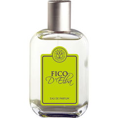 Fico d'Elba von Erbario Toscano