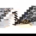 Black Lace von Promod