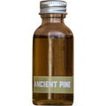 Ancient Wood / Ancient Pine von Barnaby Black
