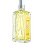 Verveine Agrumes / Citrus Verbena (Eau de Toilette) von L'Occitane en Provence