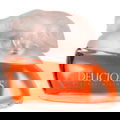 Delicious (Eau de Toilette) von Gale Hayman