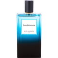 Terriblamant von Nino Amaddeo
