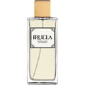 Citrus Inspiration by Iruela