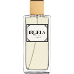 Citrus Inspiration by Iruela