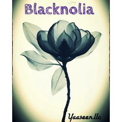 Blacknolia von Yaaseen