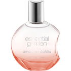 Amazing Dahlia von Essential Garden