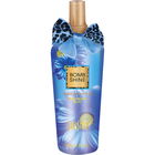 Bomb Shine von Sansiro