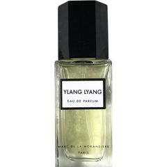 Ylang Lyang by Marc de la Morandière