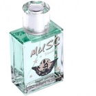 Musc Vénitien… von Des Filles à la Vanille