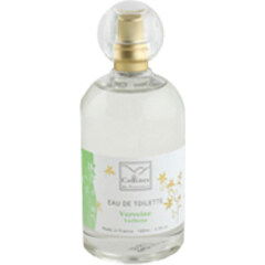 Verveine von Collines de Provence Verveine von Collines de Provence