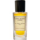 Can't Resist Amber by Al Fanak Parfums