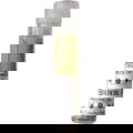 The Briar Path / The Brier Path von Haus of Gloi