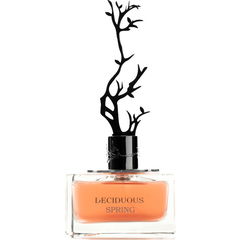 Deciduous Spring by Aurora Scents