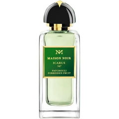 Icarus 347 by Maison Noir