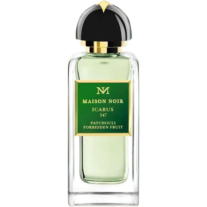 Icarus 347 von Maison Noir