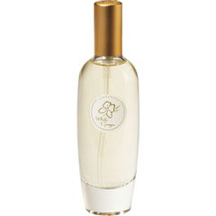 Island Collection - White Ginger (Cologne Mist) by Terranova