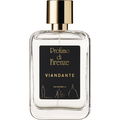 Viandante by Profumo di Firenze