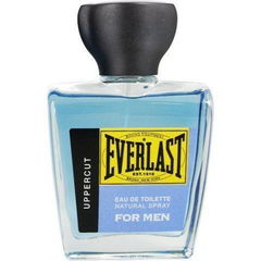 Uppercut von Everlast